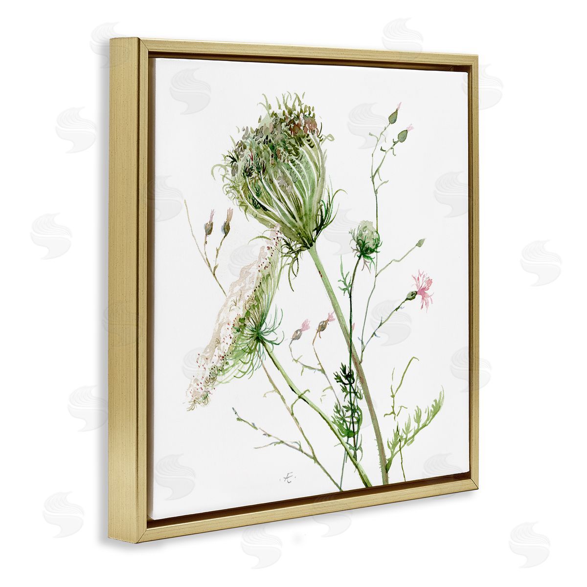 Verbrugge Watercolor Blooming Queen Anne's Lace Wildflower Watercolor Painting Gold Floating Frame Canvas Wall Art Print