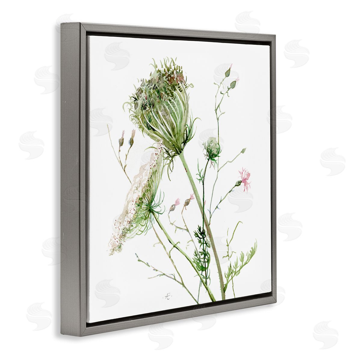 Verbrugge Watercolor Blooming Queen Anne's Lace Wildflower Watercolor Painting Gray Floating Frame Canvas Wall Art Print