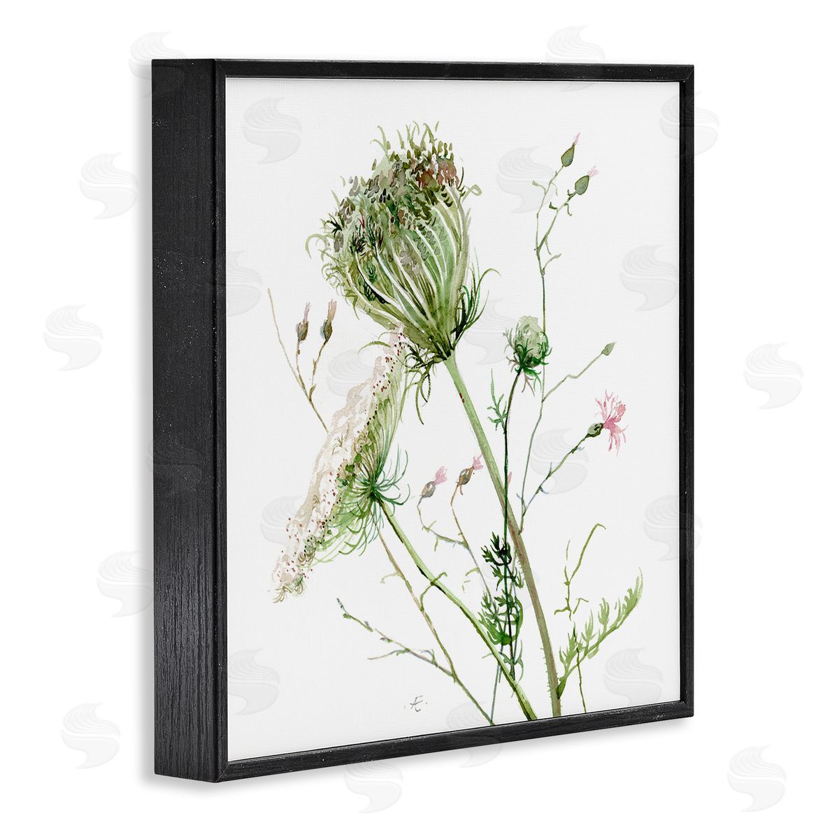 Verbrugge Watercolor Blooming Queen Anne's Lace Wildflower Watercolor Painting Black Framed Glicee Wall Art Print