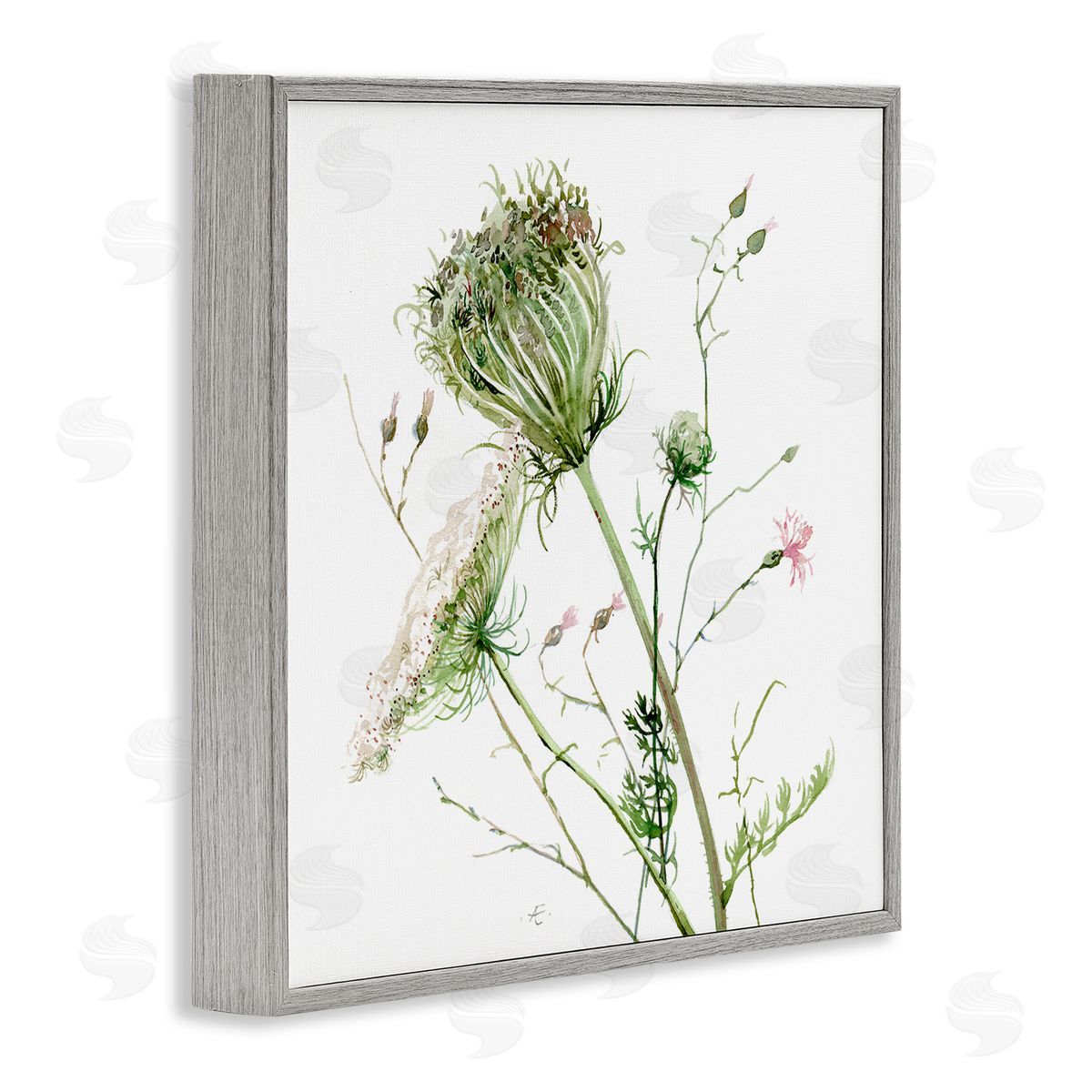 Verbrugge Watercolor Blooming Queen Anne's Lace Wildflower Watercolor Painting Gray Framed Glicee Wall Art Print