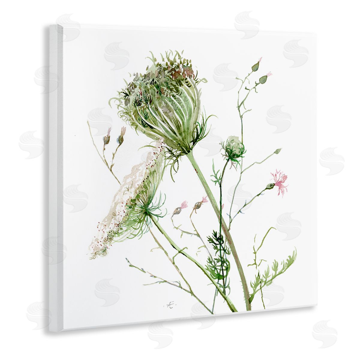 Verbrugge Watercolor Blooming Queen Anne's Lace Wildflower Watercolor Painting Wooden Wall Plaque Art Print