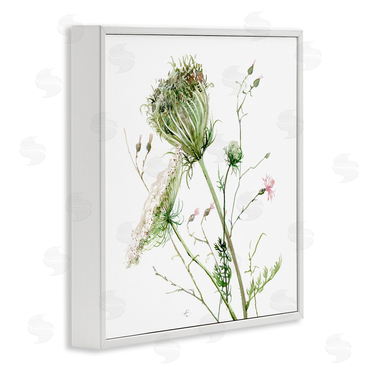 Verbrugge Watercolor Blooming Queen Anne's Lace Wildflower Watercolor Painting White Framed Glicee Wall Art Print