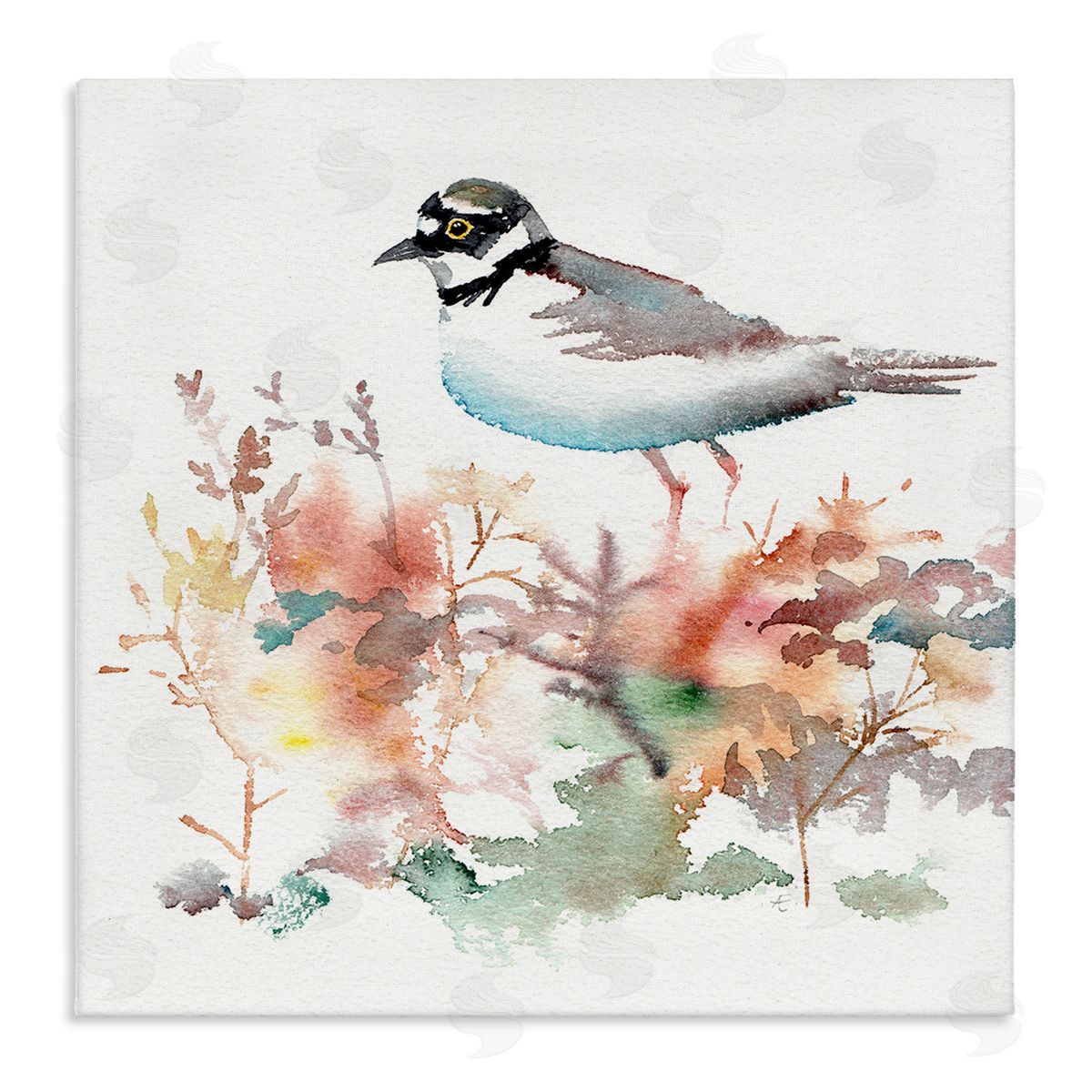 Verbrugge Watercolor Little Ringed Plover Bird in Country Wildflower Field Stretched Canvas Wall Art Print