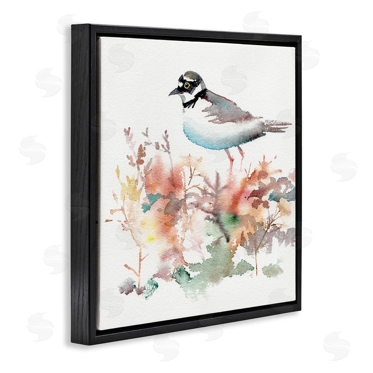 Verbrugge Watercolor Little Ringed Plover Bird in Country Wildflower Field Black Floating Frame Canvas Wall Art Print