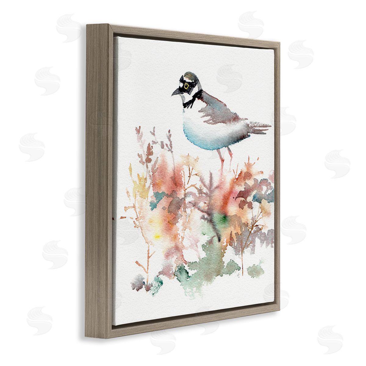 Verbrugge Watercolor Little Ringed Plover Bird in Country Wildflower Field Brown Floating Frame Canvas Wall Art Print
