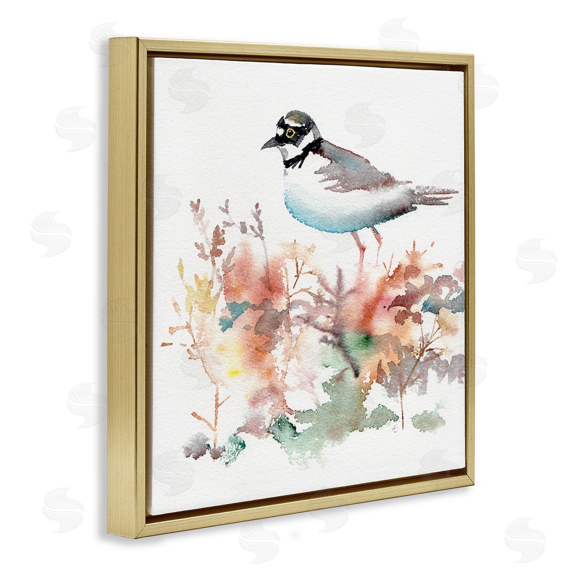 Verbrugge Watercolor Little Ringed Plover Bird in Country Wildflower Field Gold Floating Frame Canvas Wall Art Print