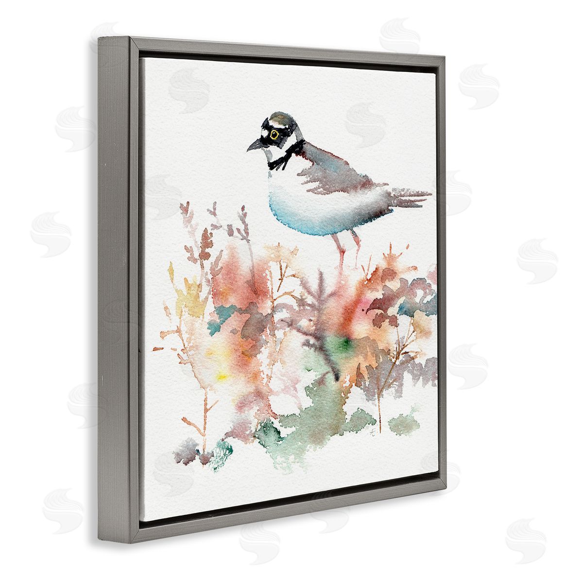 Verbrugge Watercolor Little Ringed Plover Bird in Country Wildflower Field Gray Floating Frame Canvas Wall Art Print