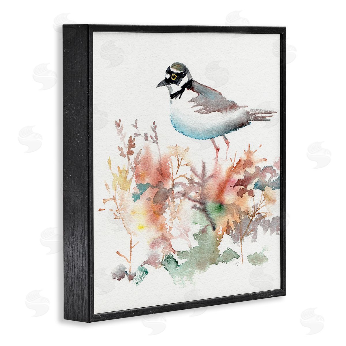 Verbrugge Watercolor Little Ringed Plover Bird in Country Wildflower Field Black Framed Glicee Wall Art Print
