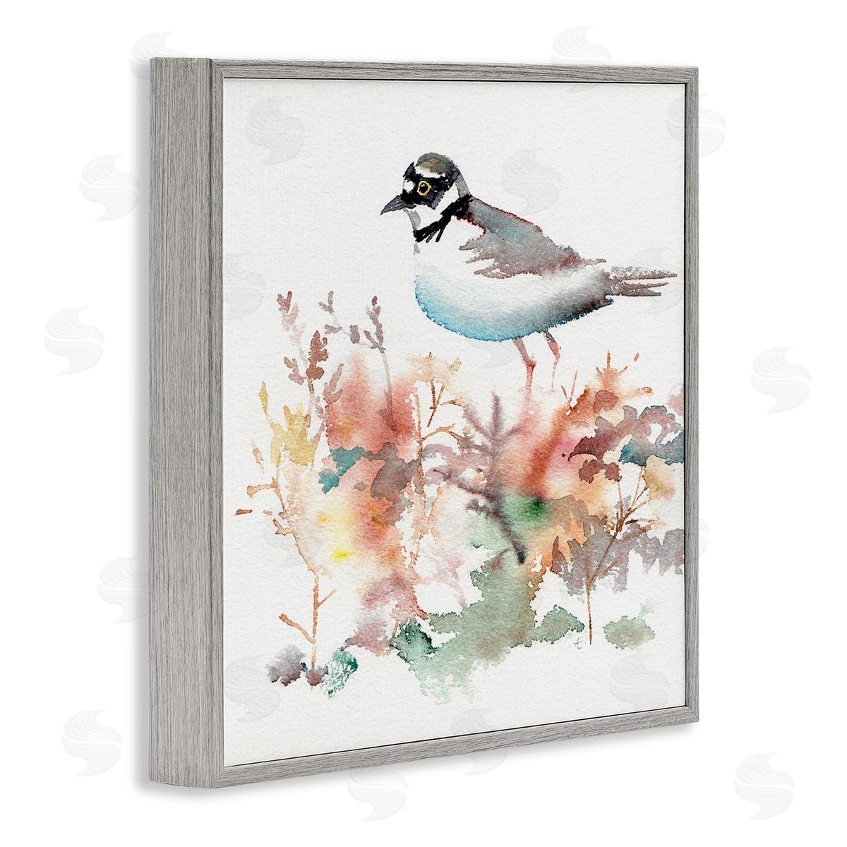 Verbrugge Watercolor Little Ringed Plover Bird in Country Wildflower Field Gray Framed Glicee Wall Art Print