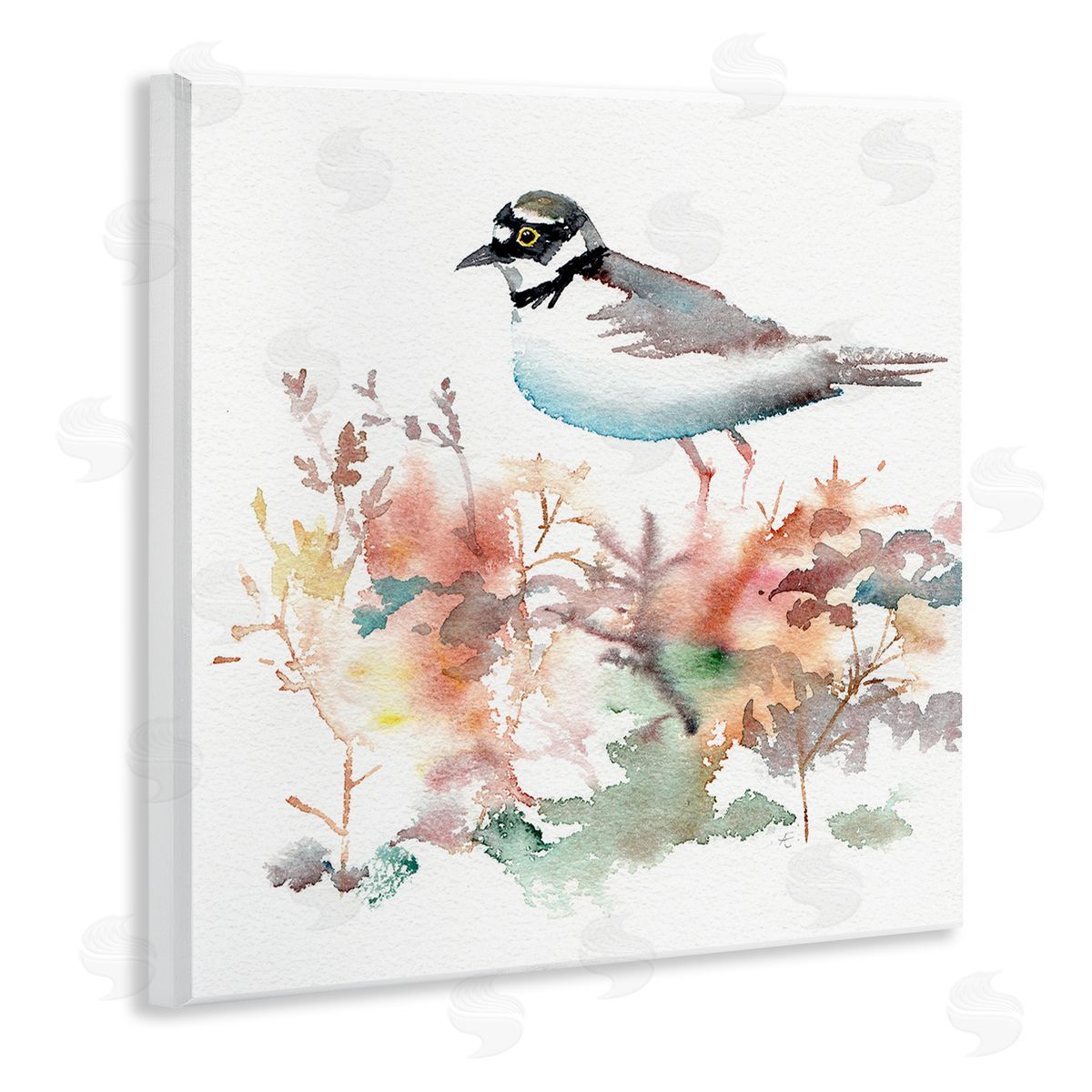 Verbrugge Watercolor Little Ringed Plover Bird in Country Wildflower Field Wooden Wall Plaque Art Print