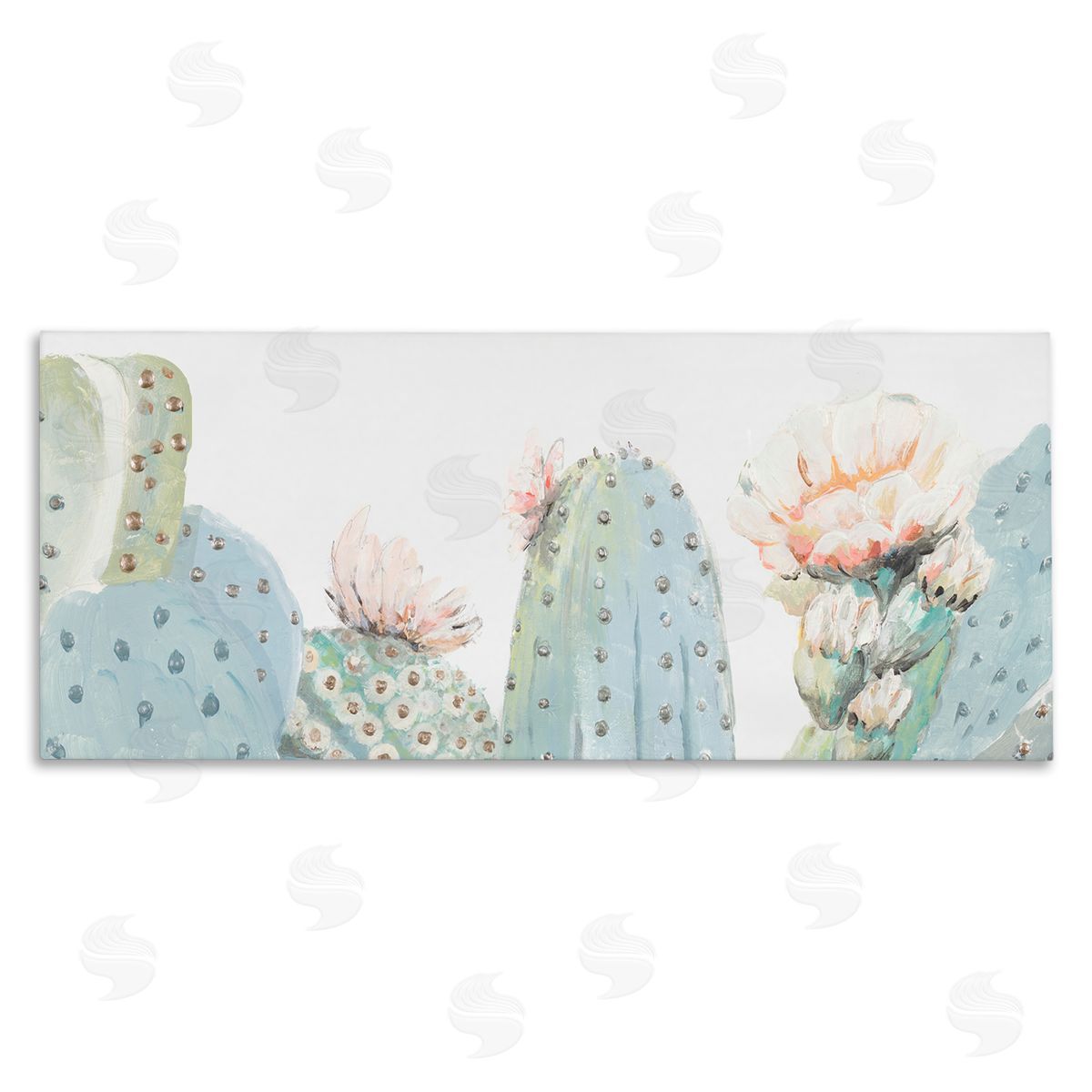 Patricia Pinto Soft Green Cactus Close Up Blooming Pink Flowers