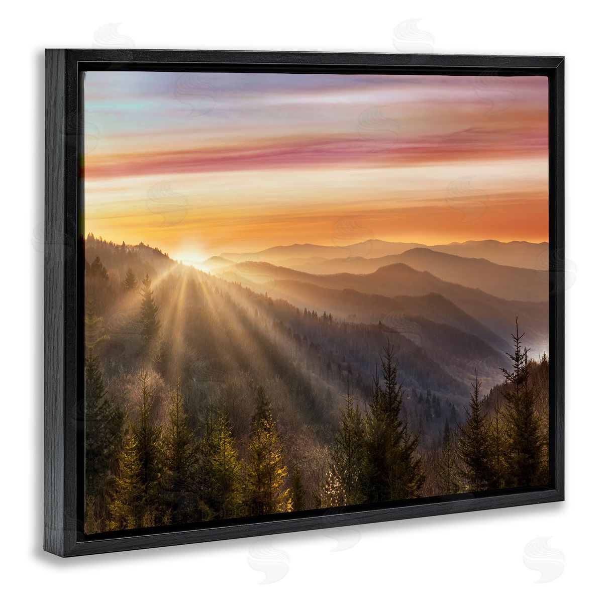 Sunrise Through Mountain Forest Skyline Black Floating Frame Canvas Wall Art, Home Decor by Danita Delimont
