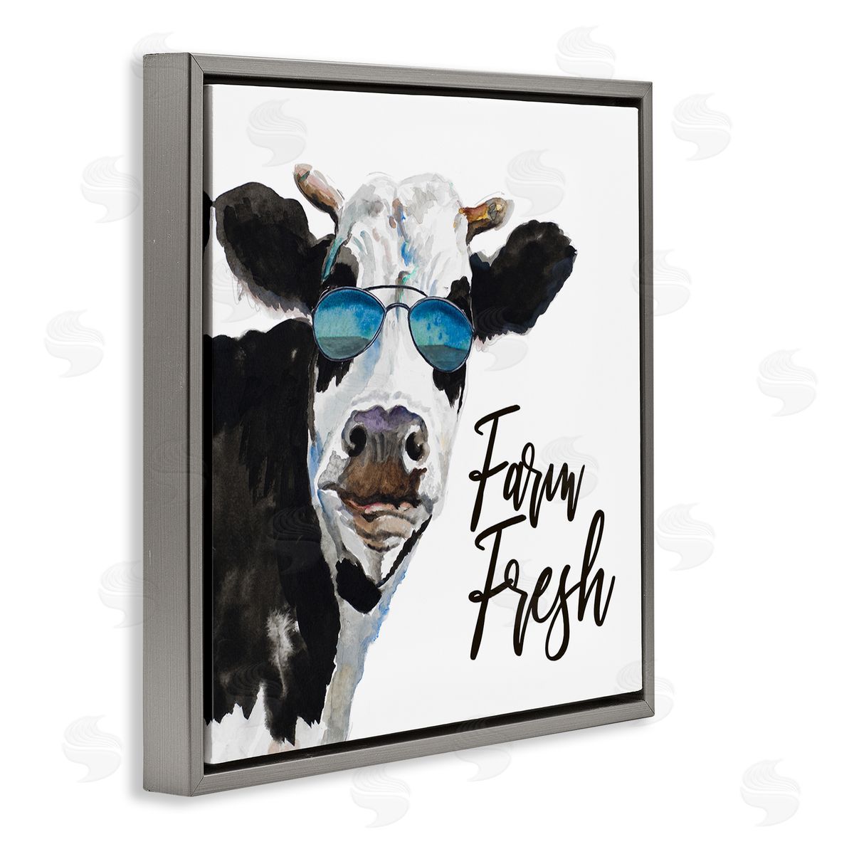 Patricia Pinto Farm Fresh Funny Dairy Cow Phrase Aviator Shades Gray Floating Frame Canvas Wall Art Print