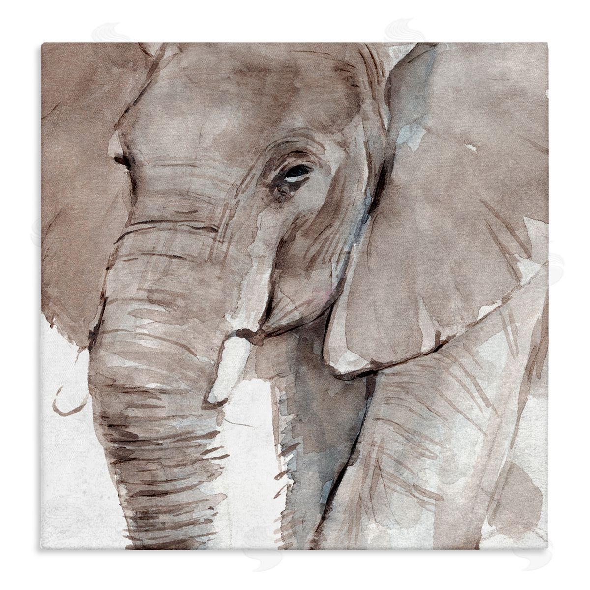 Annie Warren Elephant Trunk Animal Portrait Grey Wrinkles Small Husks Stretched Canvas Wall Art Print