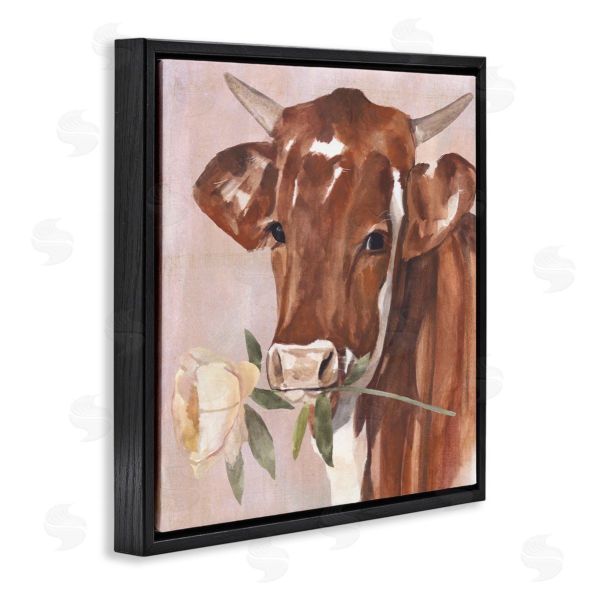 Annie Warren Romantic Bull Cattle White Rose over Pink Black Floating Frame Canvas Wall Art Print