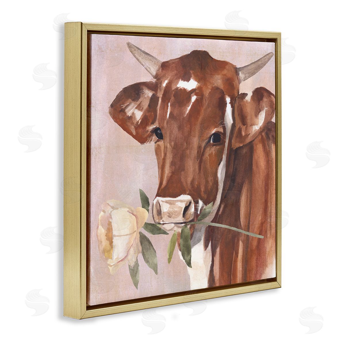 Annie Warren Romantic Bull Cattle White Rose over Pink Gold Floating Frame Canvas Wall Art Print