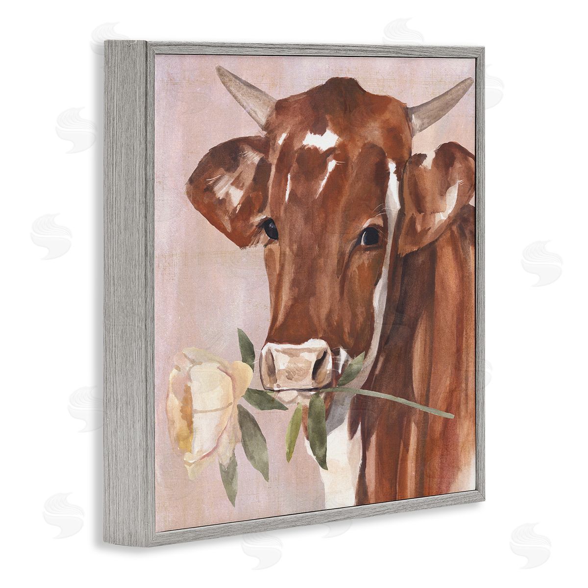 Annie Warren Romantic Bull Cattle White Rose over Pink Gray Framed Glicee Wall Art Print
