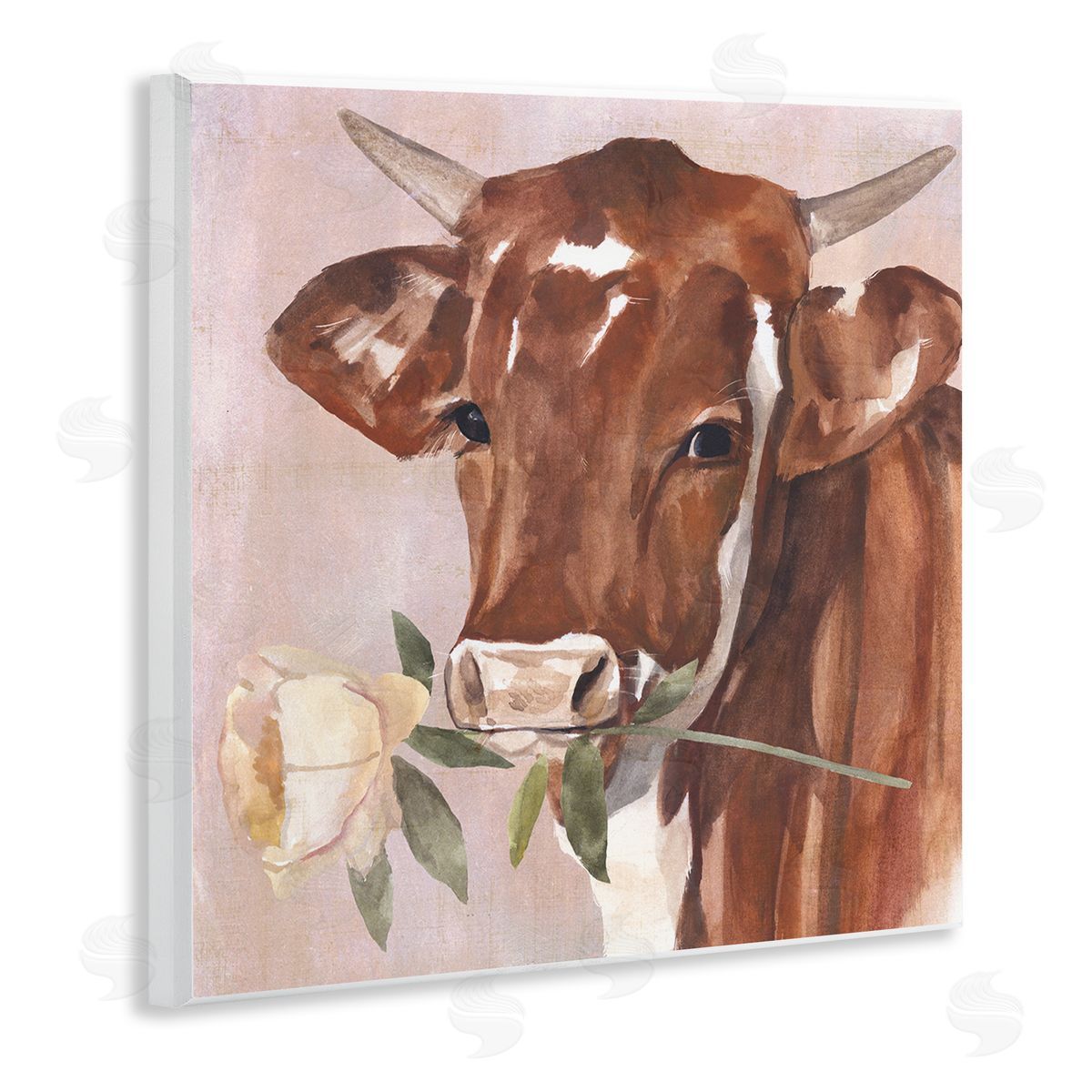 Annie Warren Romantic Bull Cattle White Rose over Pink Wooden Wall Plaque Art Print
