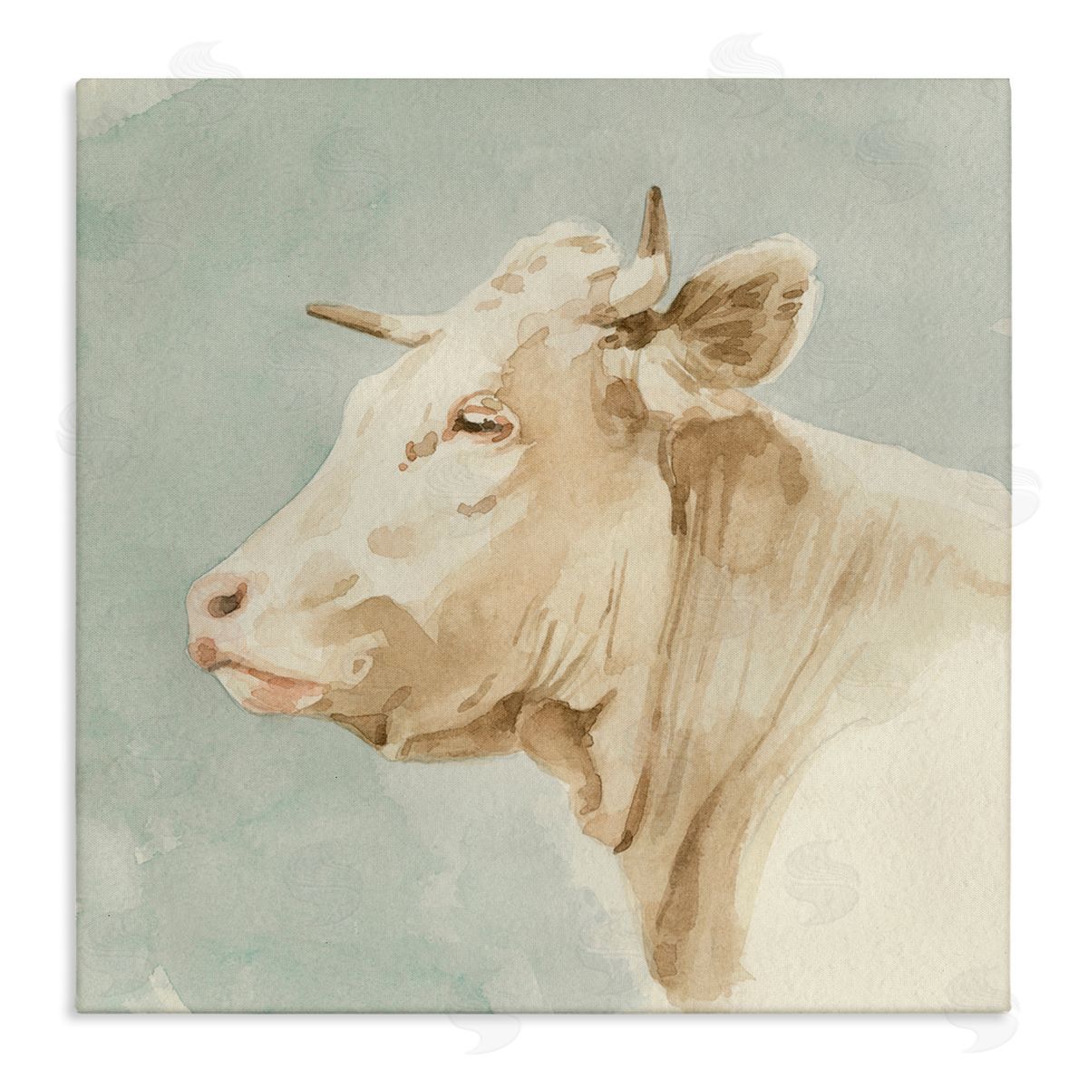 Emma Caroline Poised White Cow Watercolor Farm Animal Portrait Stretched Canvas Wall Art Print