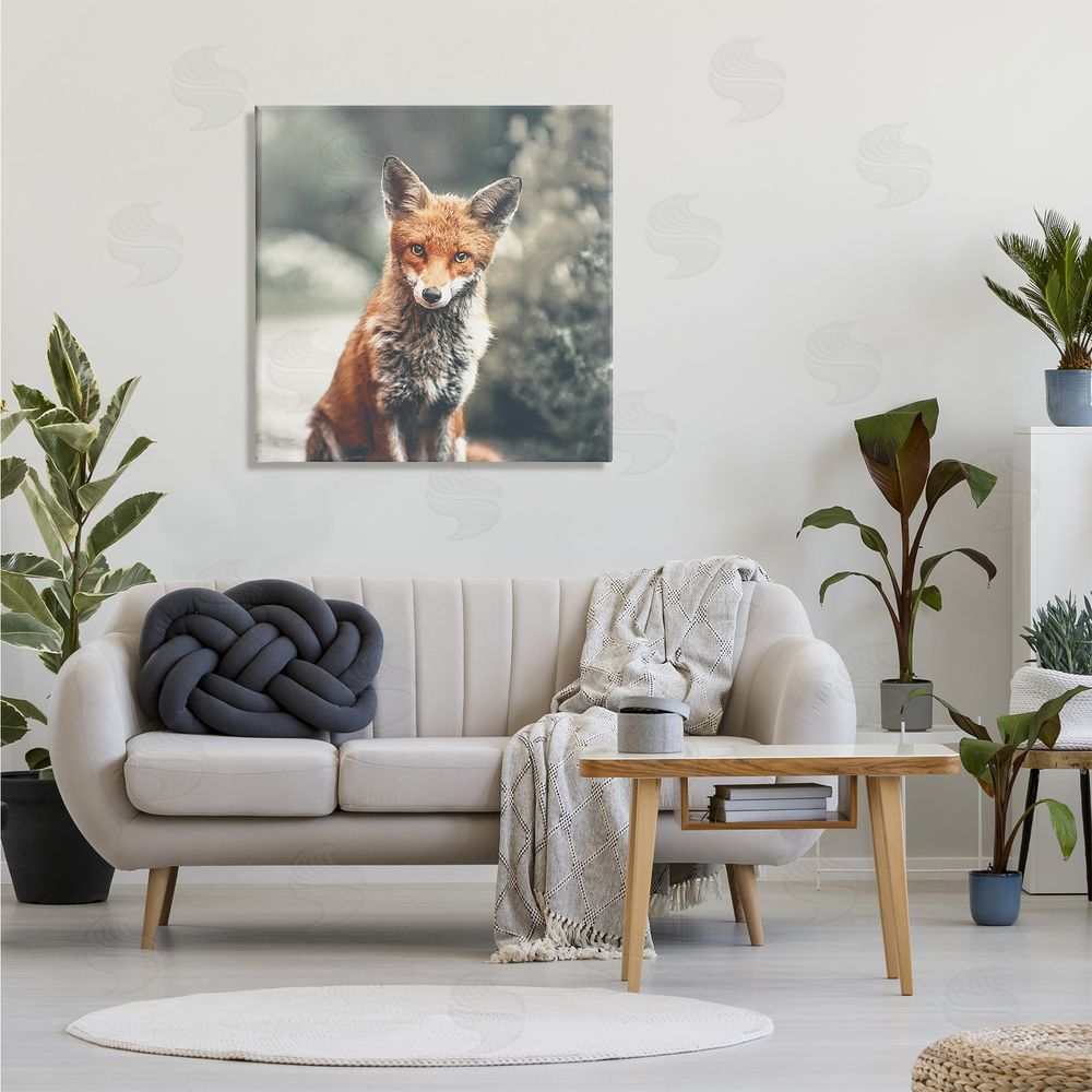 Leah Straatsma Adorable Woodland Fox Orange Fur Soft Tone Forest Canvas Wall Art in Room