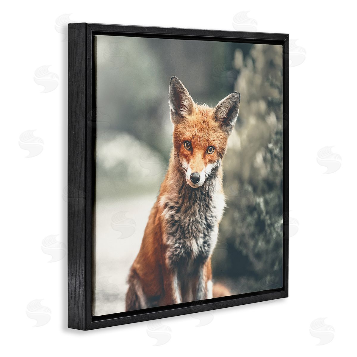 Leah Straatsma Adorable Woodland Fox Orange Fur Soft Tone Forest Black Floating Frame Canvas Wall Art Print