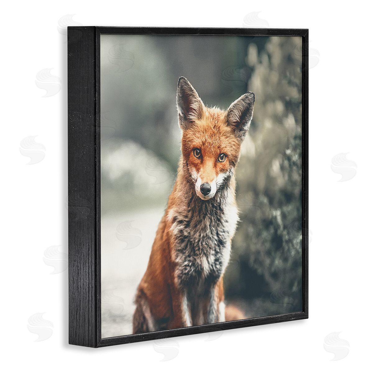 Leah Straatsma Adorable Woodland Fox Orange Fur Soft Tone Forest Black Framed Glicee Wall Art Print