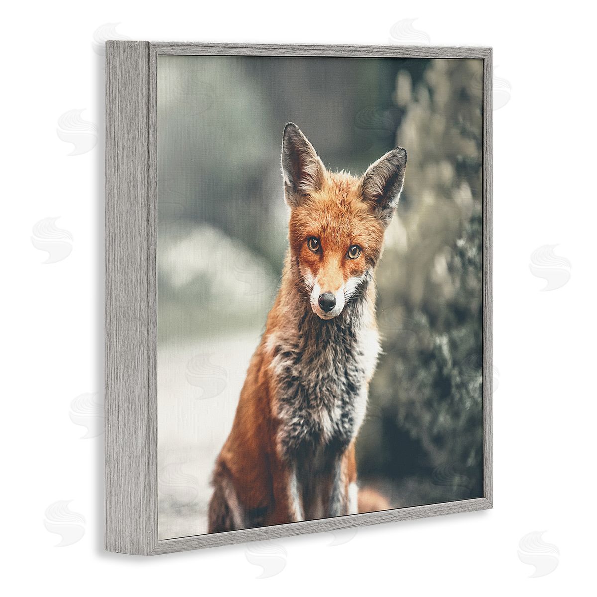 Leah Straatsma Adorable Woodland Fox Orange Fur Soft Tone Forest Gray Framed Glicee Wall Art Print
