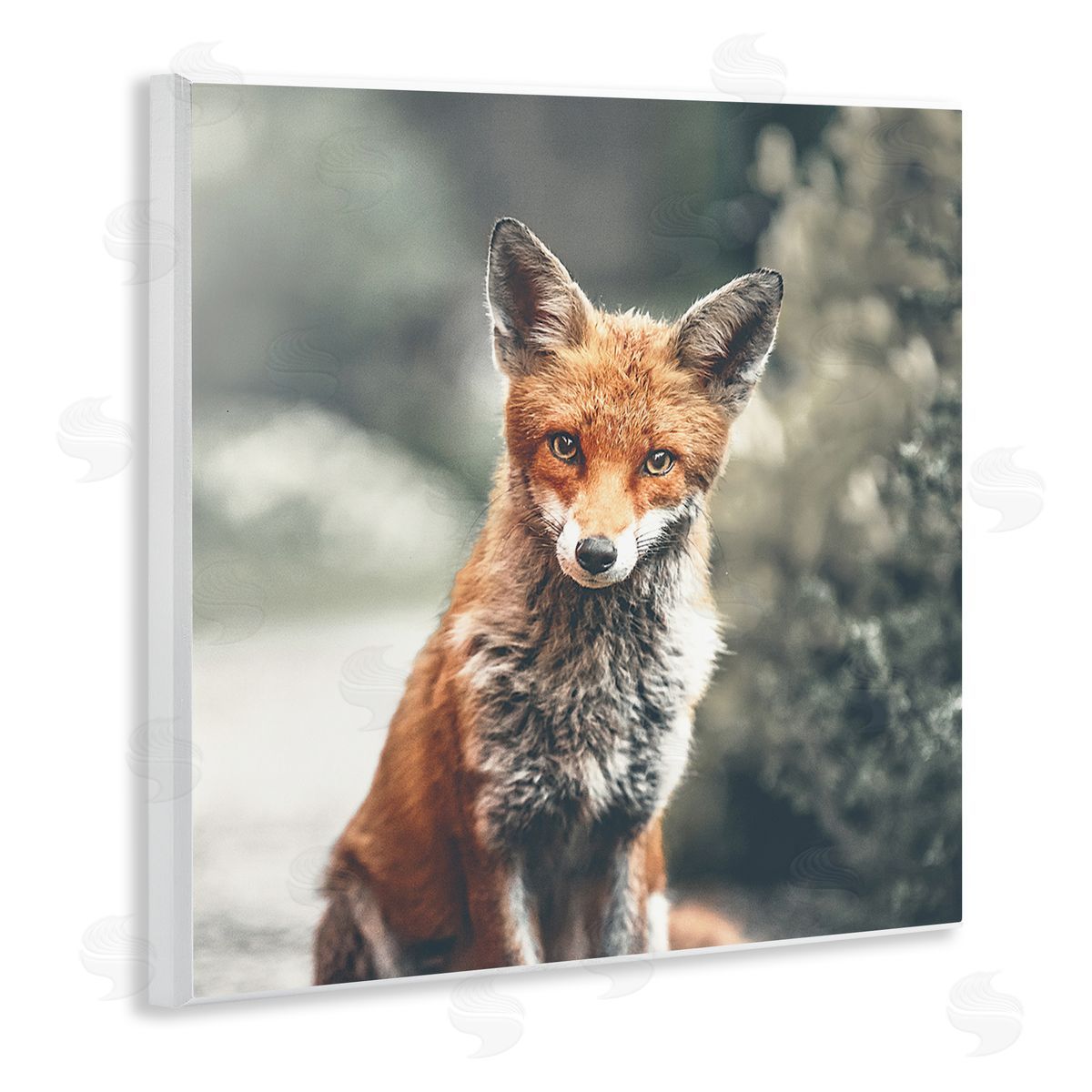 Leah Straatsma Adorable Woodland Fox Orange Fur Soft Tone Forest Wooden Wall Plaque Art Print