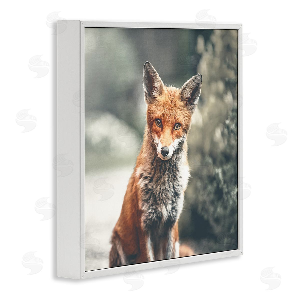 Leah Straatsma Adorable Woodland Fox Orange Fur Soft Tone Forest White Framed Glicee Wall Art Print
