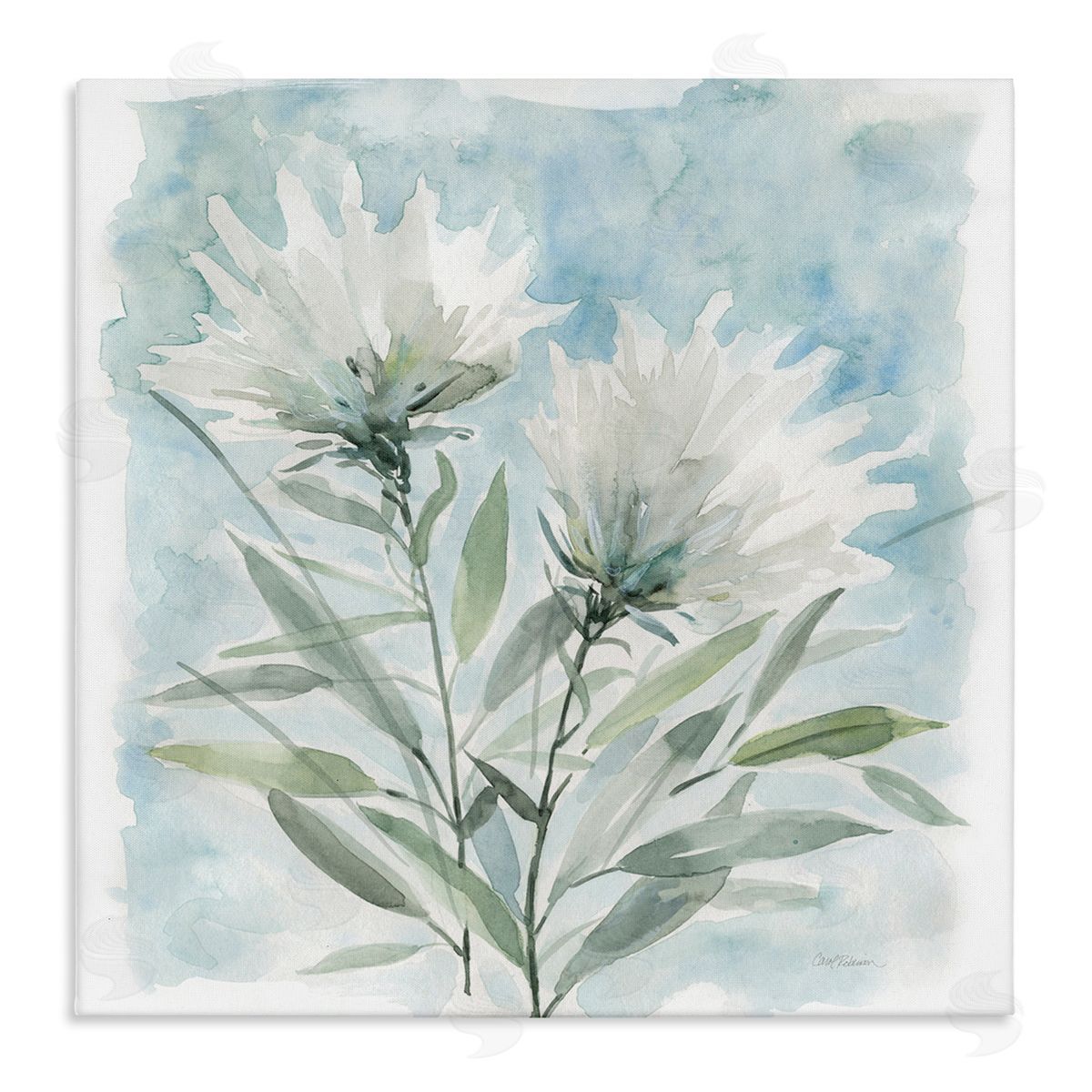 Carol Robinson Abstract Watercolor Florals White Petals Blue Sky Stretched Canvas Wall Art Print