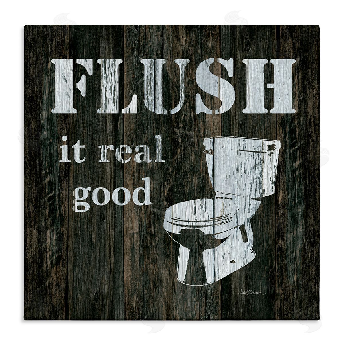 Carol Robinson Flush It Real Good Phrase Vintage Rustic Toilet Stretched Canvas Wall Art Print