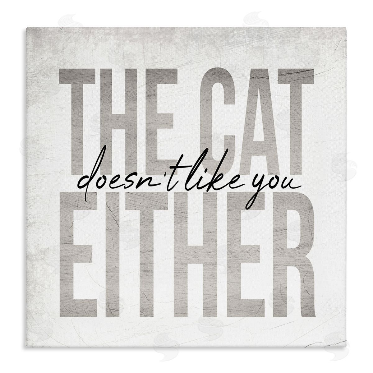 Stupell Studio The Cat Doesn't Like You Either Pet Phrase Stretched Canvas Wall Art Print