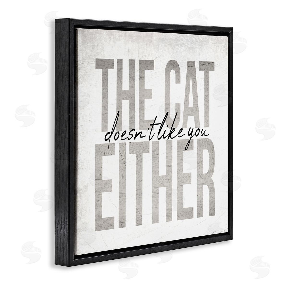 Stupell Studio The Cat Doesn't Like You Either Pet Phrase Black Floating Frame Canvas Wall Art Print