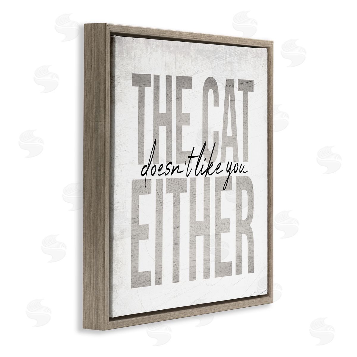 Stupell Studio The Cat Doesn't Like You Either Pet Phrase Brown Floating Frame Canvas Wall Art Print
