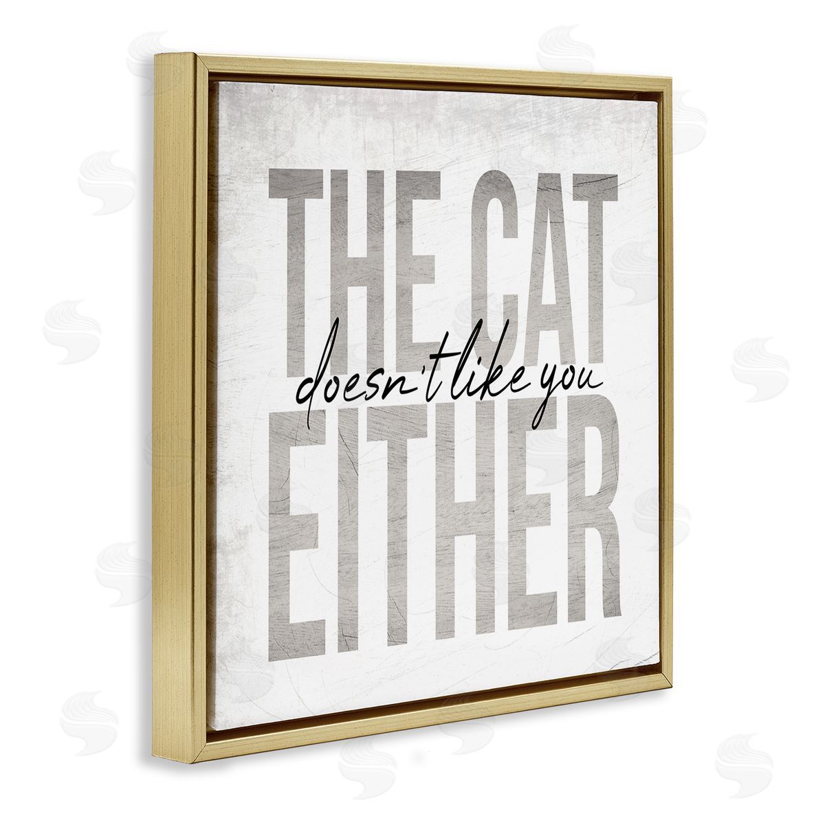 Stupell Studio The Cat Doesn't Like You Either Pet Phrase Gold Floating Frame Canvas Wall Art Print