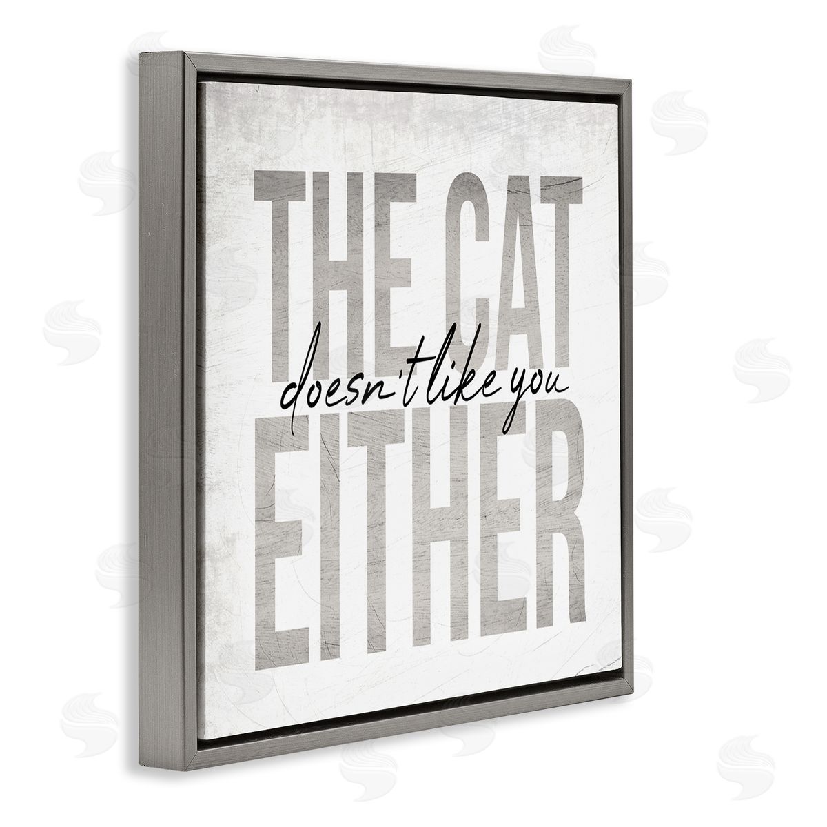 Stupell Studio The Cat Doesn't Like You Either Pet Phrase Gray Floating Frame Canvas Wall Art Print