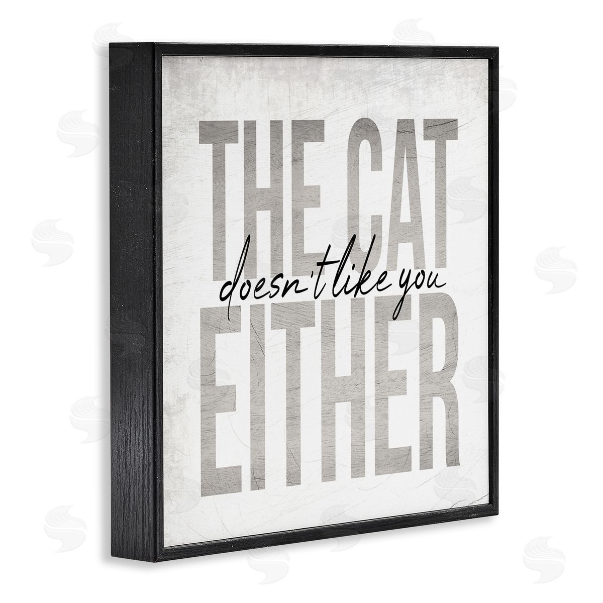 Stupell Studio The Cat Doesn't Like You Either Pet Phrase Black Framed Glicee Wall Art Print
