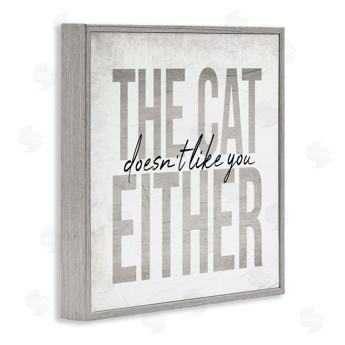 Stupell Studio The Cat Doesn't Like You Either Pet Phrase Gray Framed Glicee Wall Art Print