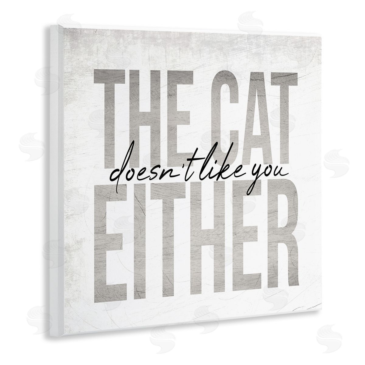 Stupell Studio The Cat Doesn't Like You Either Pet Phrase Wooden Wall Plaque Art Print