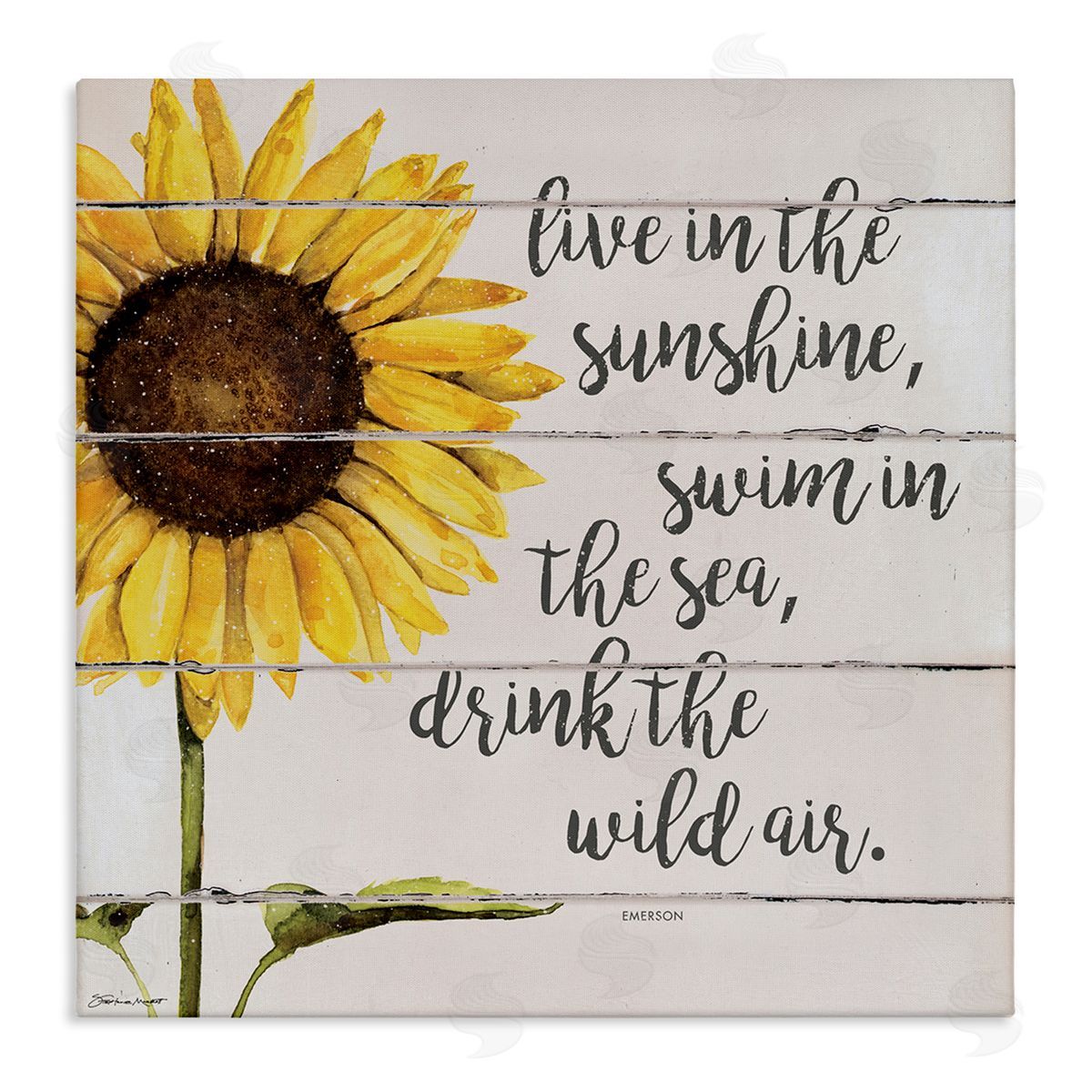 Stephanie Workman Marrott Live In Sunshine Drink Wild Air Phrase Sunflower Stretched Canvas Wall Art Print