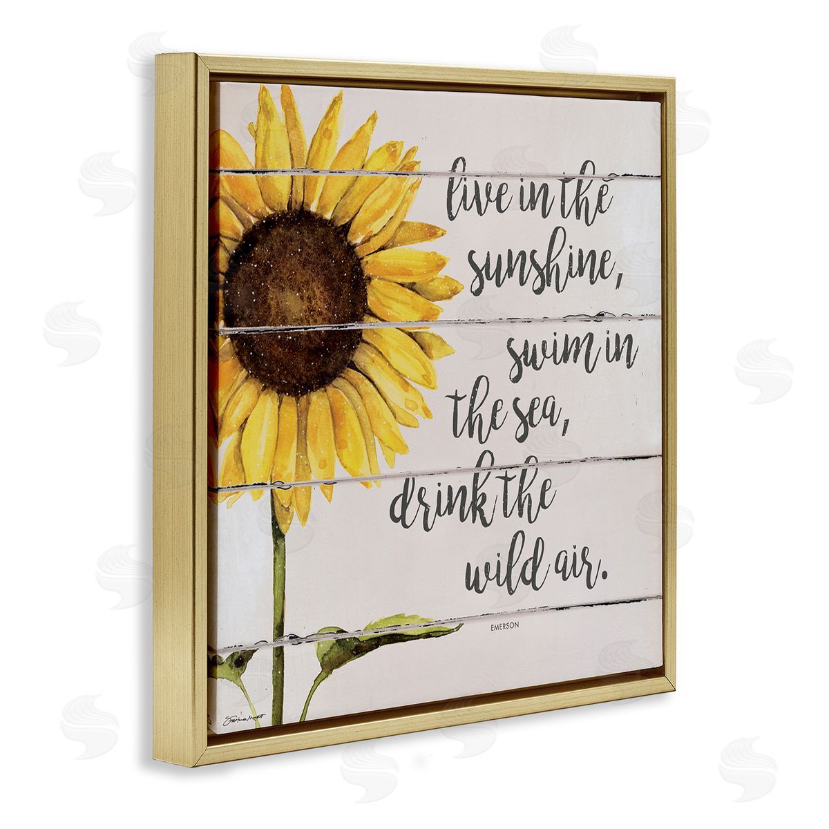 Stephanie Workman Marrott Live In Sunshine Drink Wild Air Phrase Sunflower Gold Floating Frame Canvas Wall Art Print