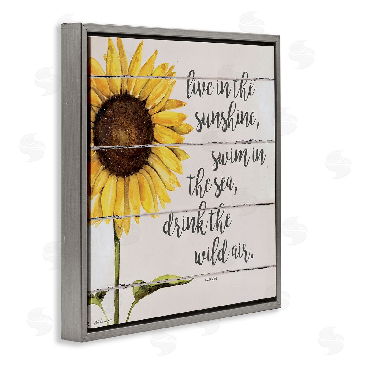 Stephanie Workman Marrott Live In Sunshine Drink Wild Air Phrase Sunflower Gray Floating Frame Canvas Wall Art Print