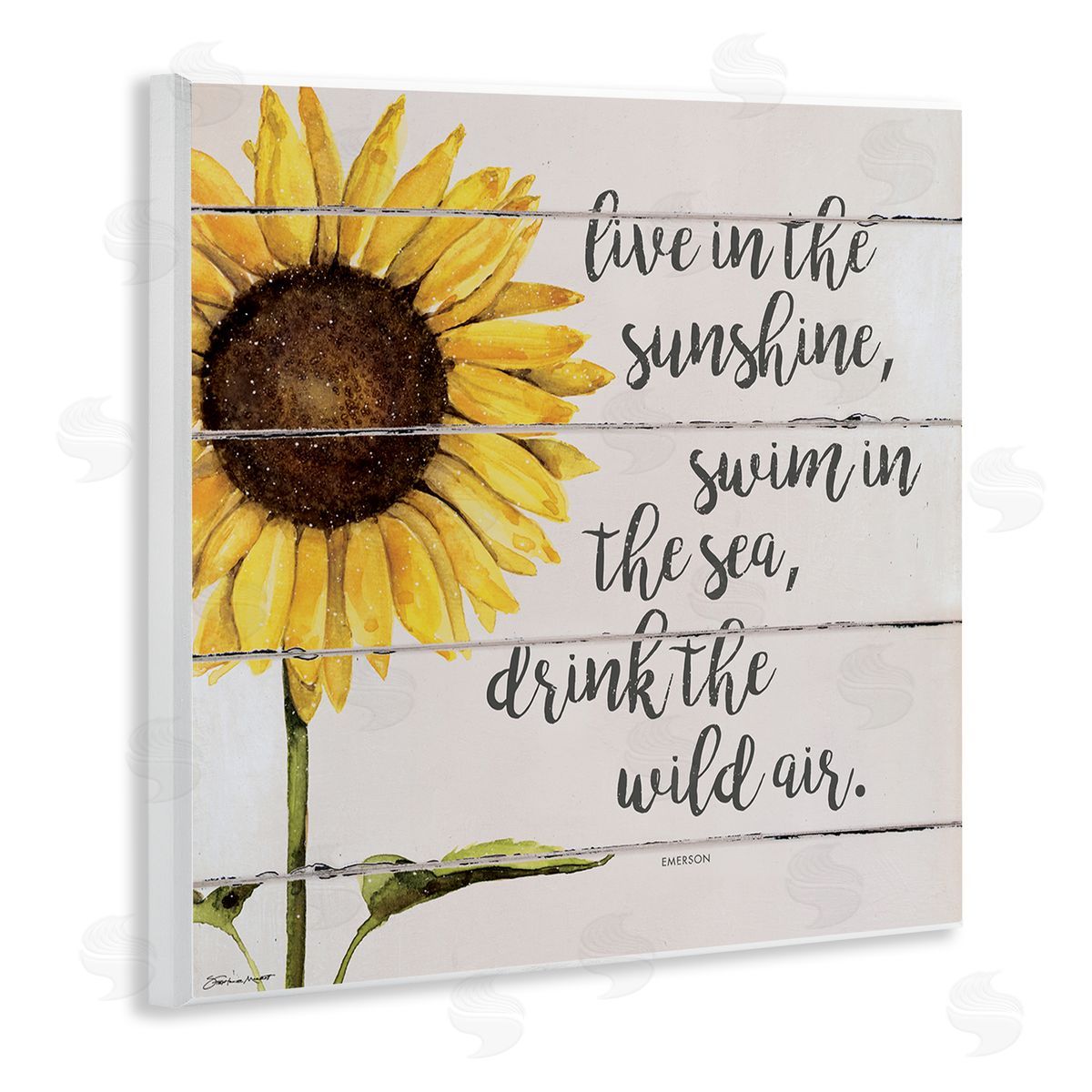 Stephanie Workman Marrott Live In Sunshine Drink Wild Air Phrase Sunflower Wooden Wall Plaque Art Print