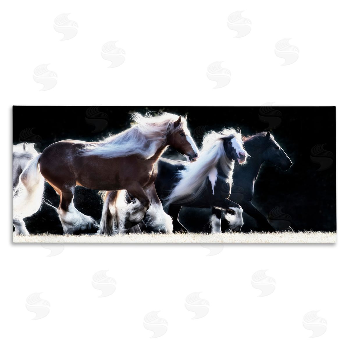 PH Burchett Colt Horse Stampede Country Field Modern Equestrian Photography