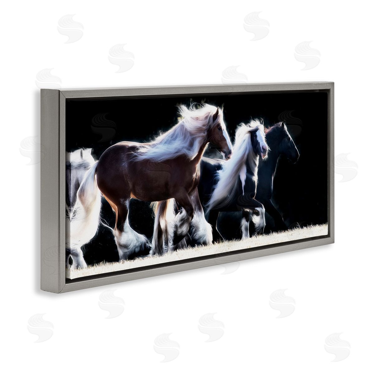 PH Burchett Colt Horse Stampede Country Field Modern Equestrian Photography