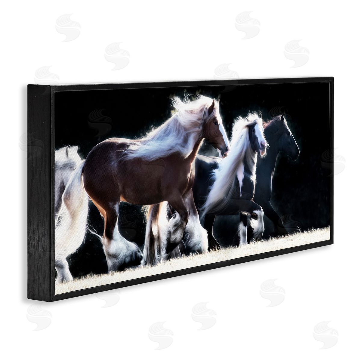 PH Burchett Colt Horse Stampede Country Field Modern Equestrian Photography