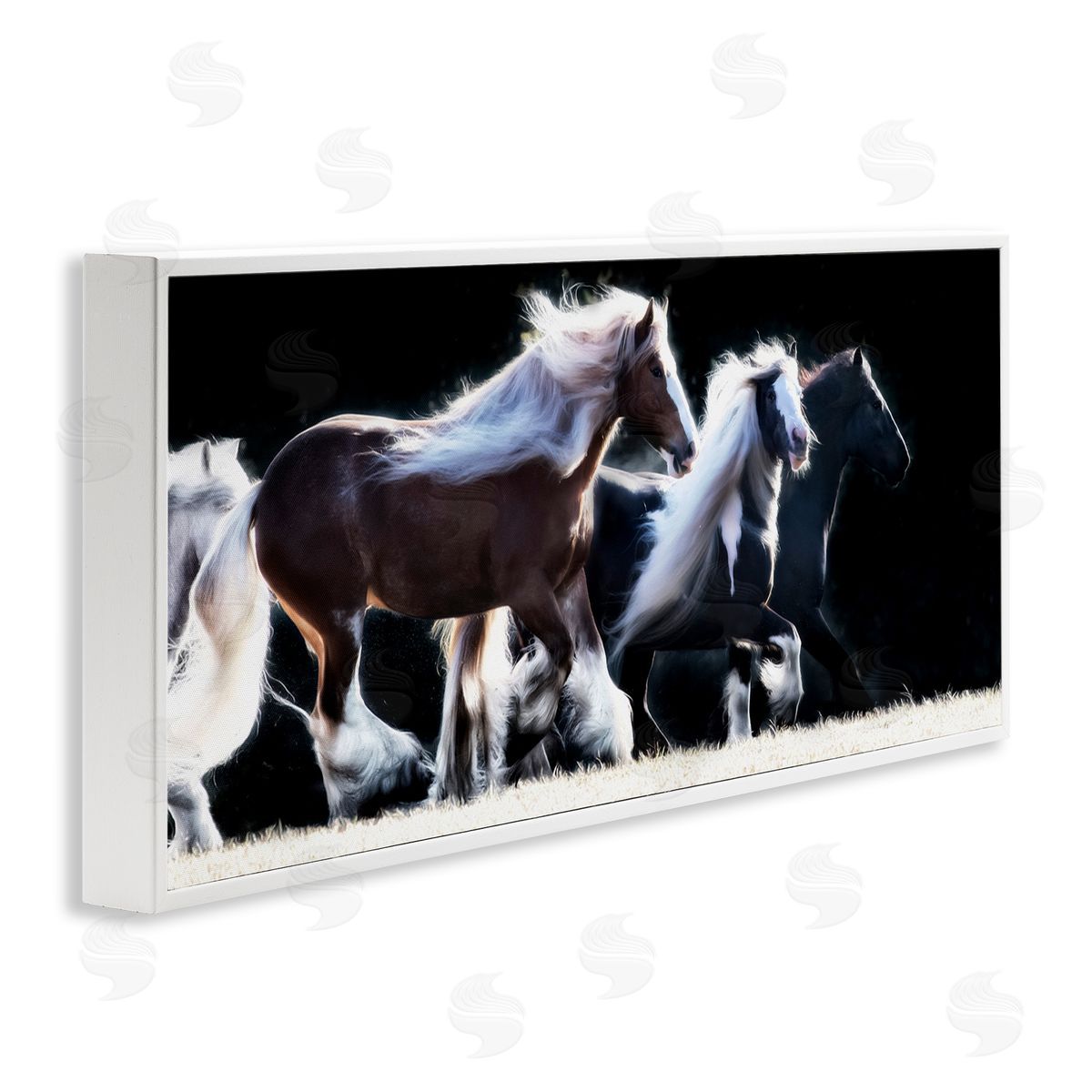 PH Burchett Colt Horse Stampede Country Field Modern Equestrian Photography