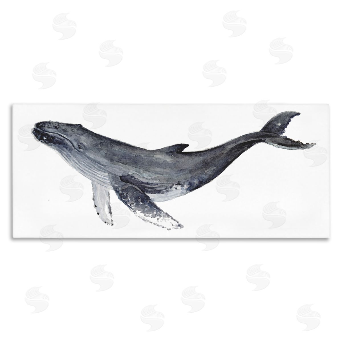 Fox Hollow Studios Humpback Whale Watercolor Painting Aquatic Animal Portrait