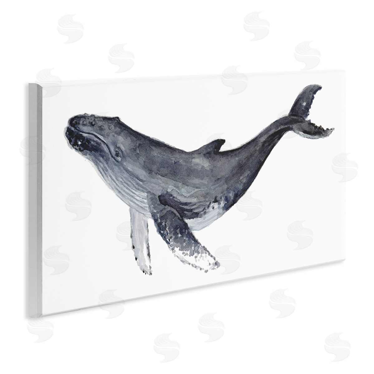 Fox Hollow Studios Humpback Whale Watercolor Painting Aquatic Animal Portrait