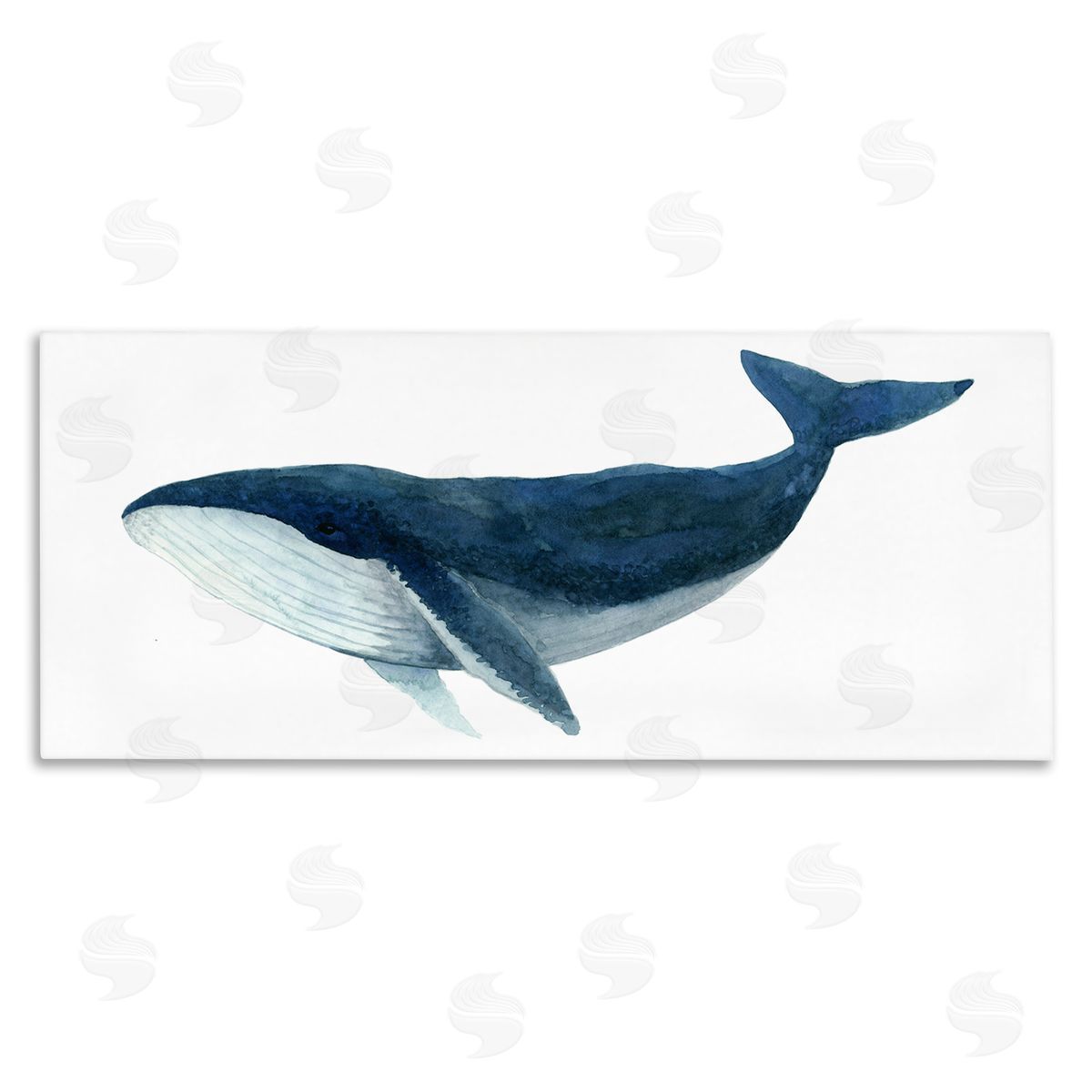Jeannine Saylor Blue Whale Marine Animal Watercolor Painting over White